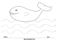 Trazo ballena